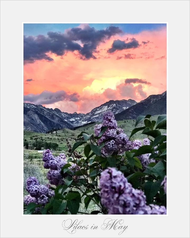 Pine Creek Cabin Livingston Montana Villa Esterno foto