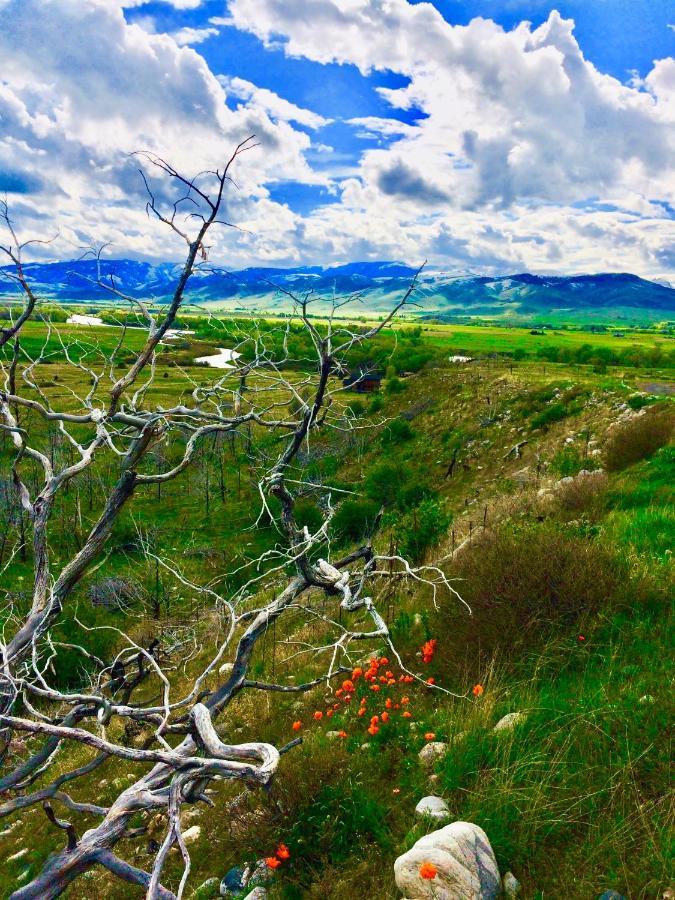 Pine Creek Cabin Livingston Montana Esterno foto