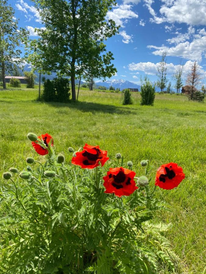 Pine Creek Cabin Livingston Montana Esterno foto