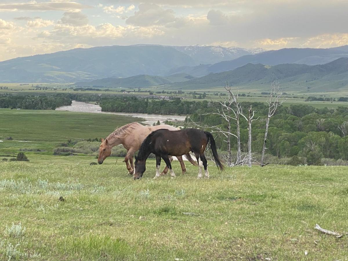 Pine Creek Cabin Livingston Montana Esterno foto