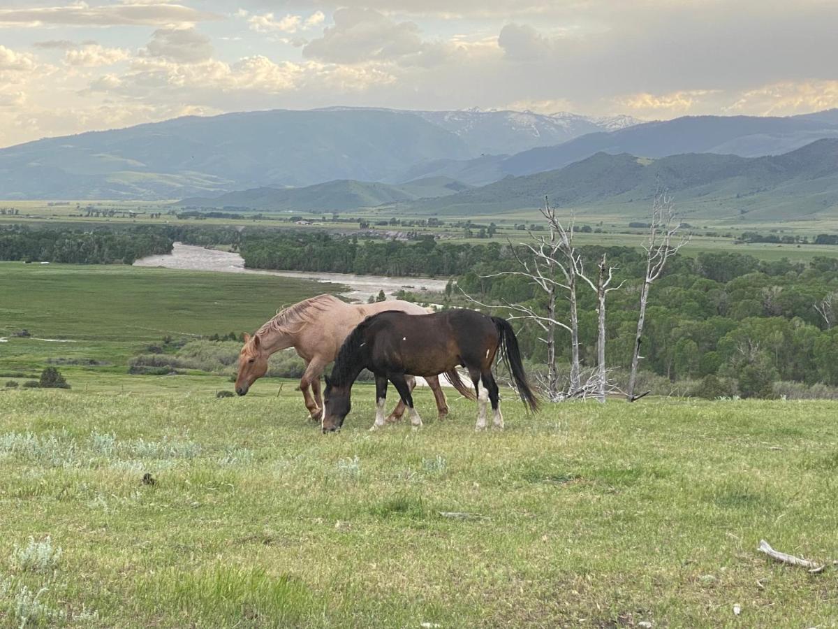 Pine Creek Cabin Livingston Montana Villa Esterno foto