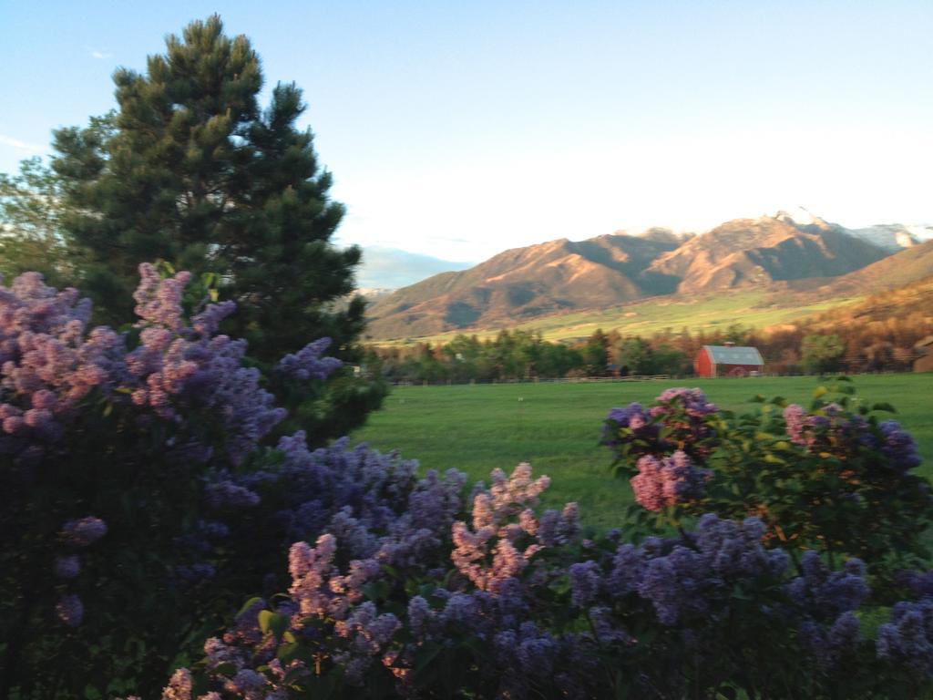 Pine Creek Cabin Livingston Montana Esterno foto