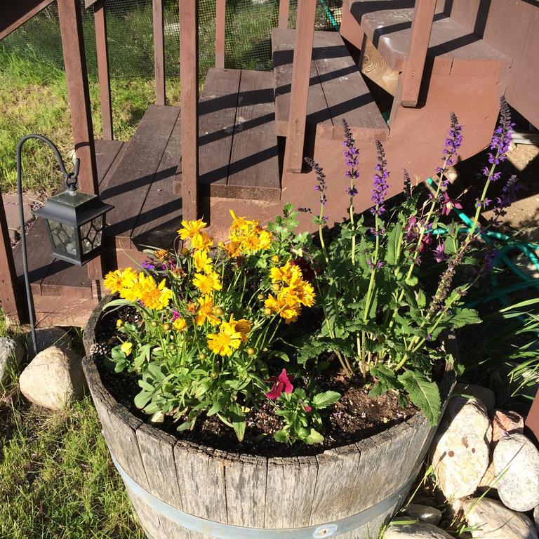 Pine Creek Cabin Livingston Montana Esterno foto