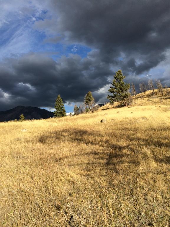 Pine Creek Cabin Livingston Montana Esterno foto