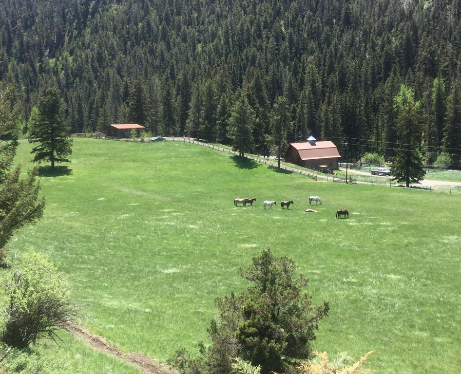 Pine Creek Cabin Livingston Montana Esterno foto